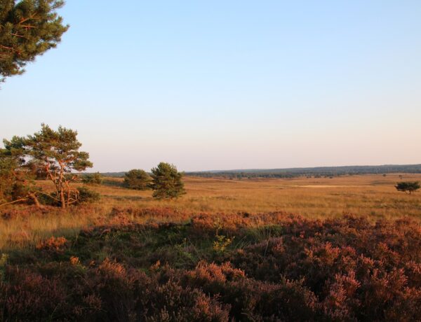 Vergaderen op de Veluwe