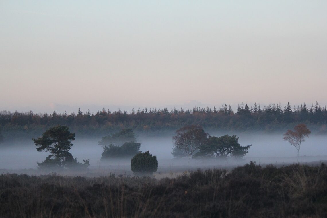 Vergaderen op de Veluwe